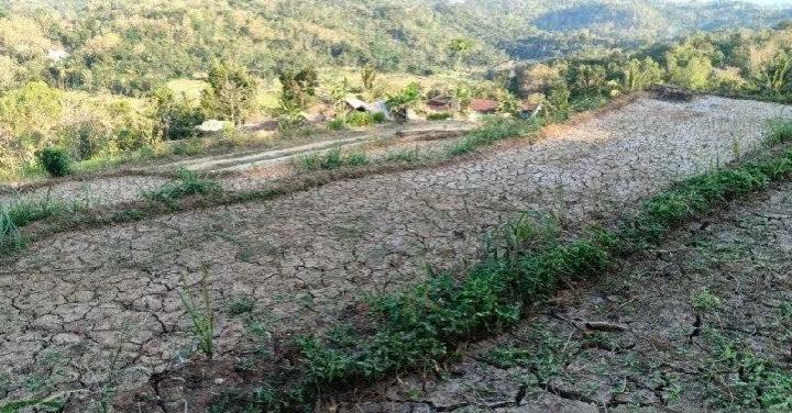 BMKG Imbau Warga Jawa Tengah Bagian Selatan Waspadai Dampak Kekeringan